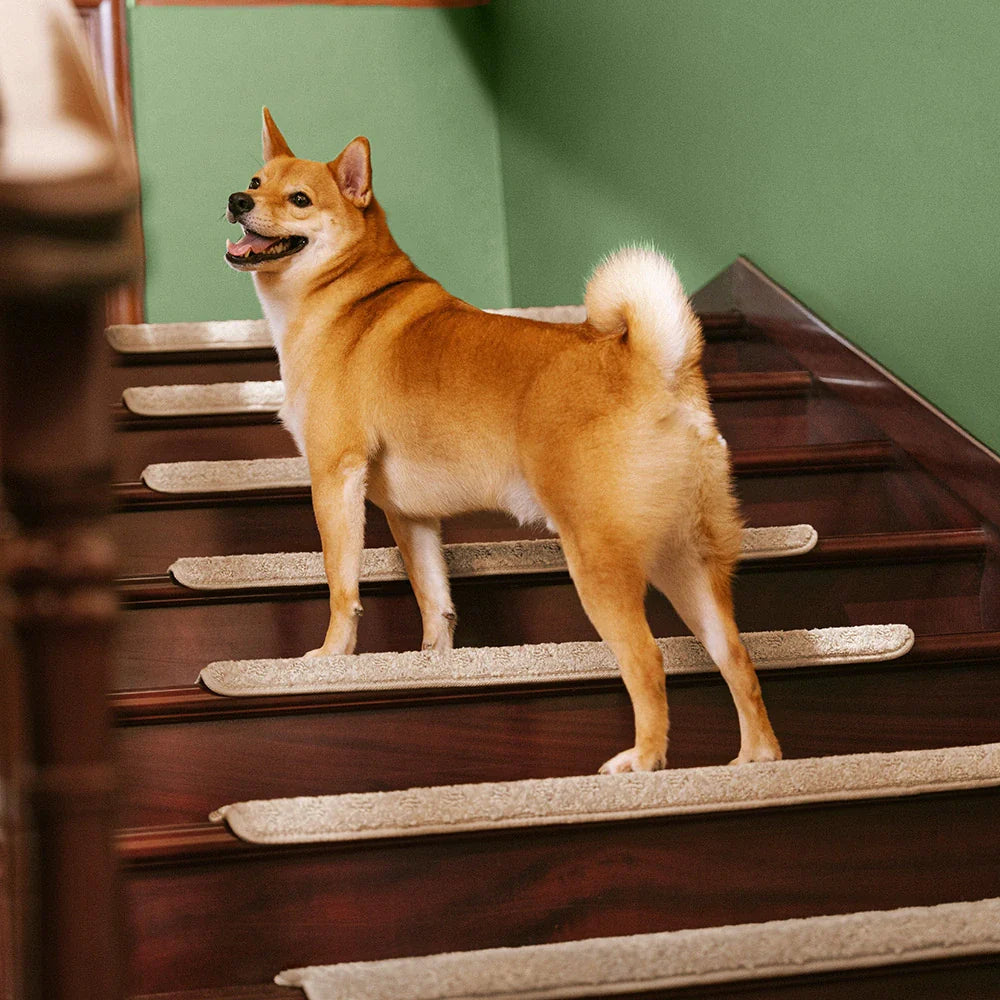 Soft Plush Indoor Stair Protectors Pet Friendly Tape Free Carpet Stair Treads
