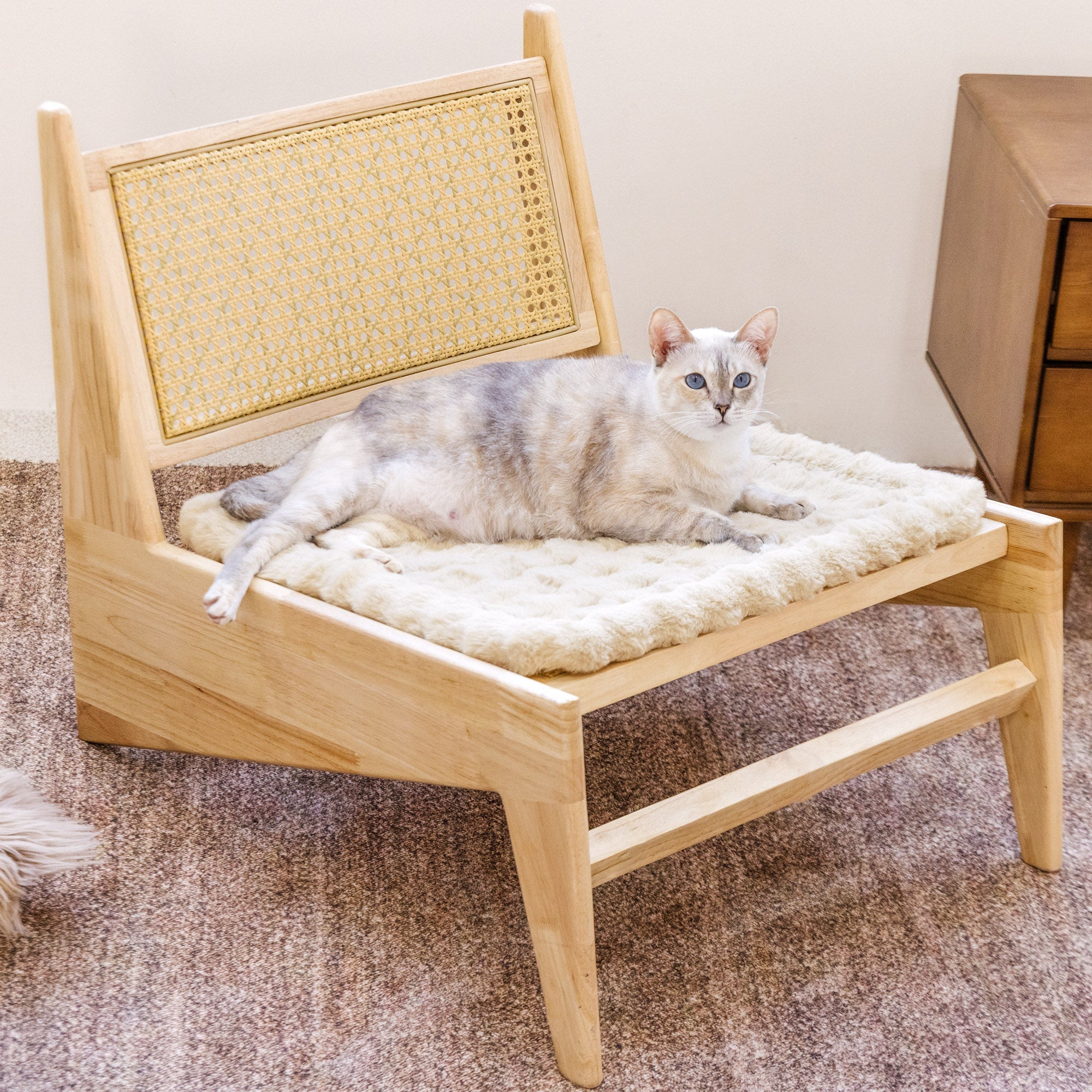 Fluffy Plush Faux Fur Warm Pet Mat Non-slip Couch Cover