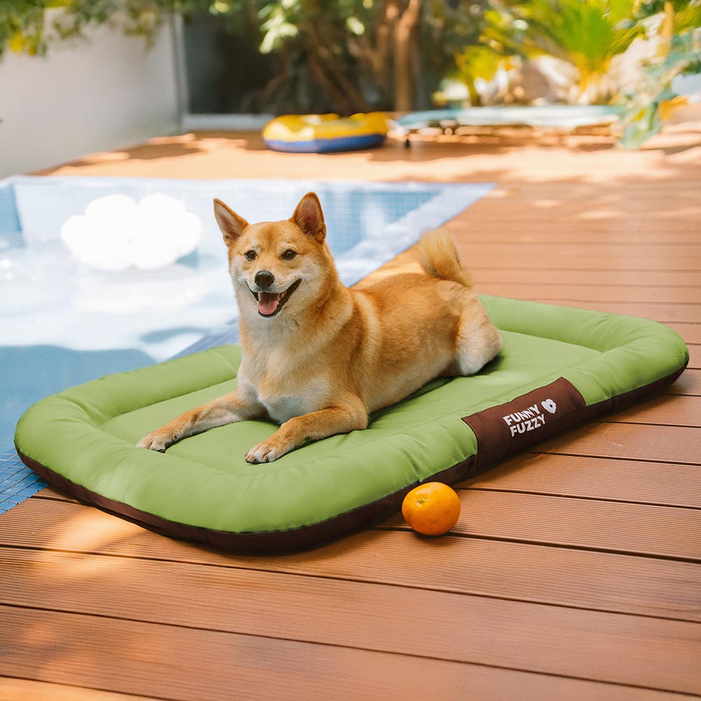 Outdoor Waterproof & Chew-proof Memory Foam Orthopedic Dog Mat - Trek Lounge