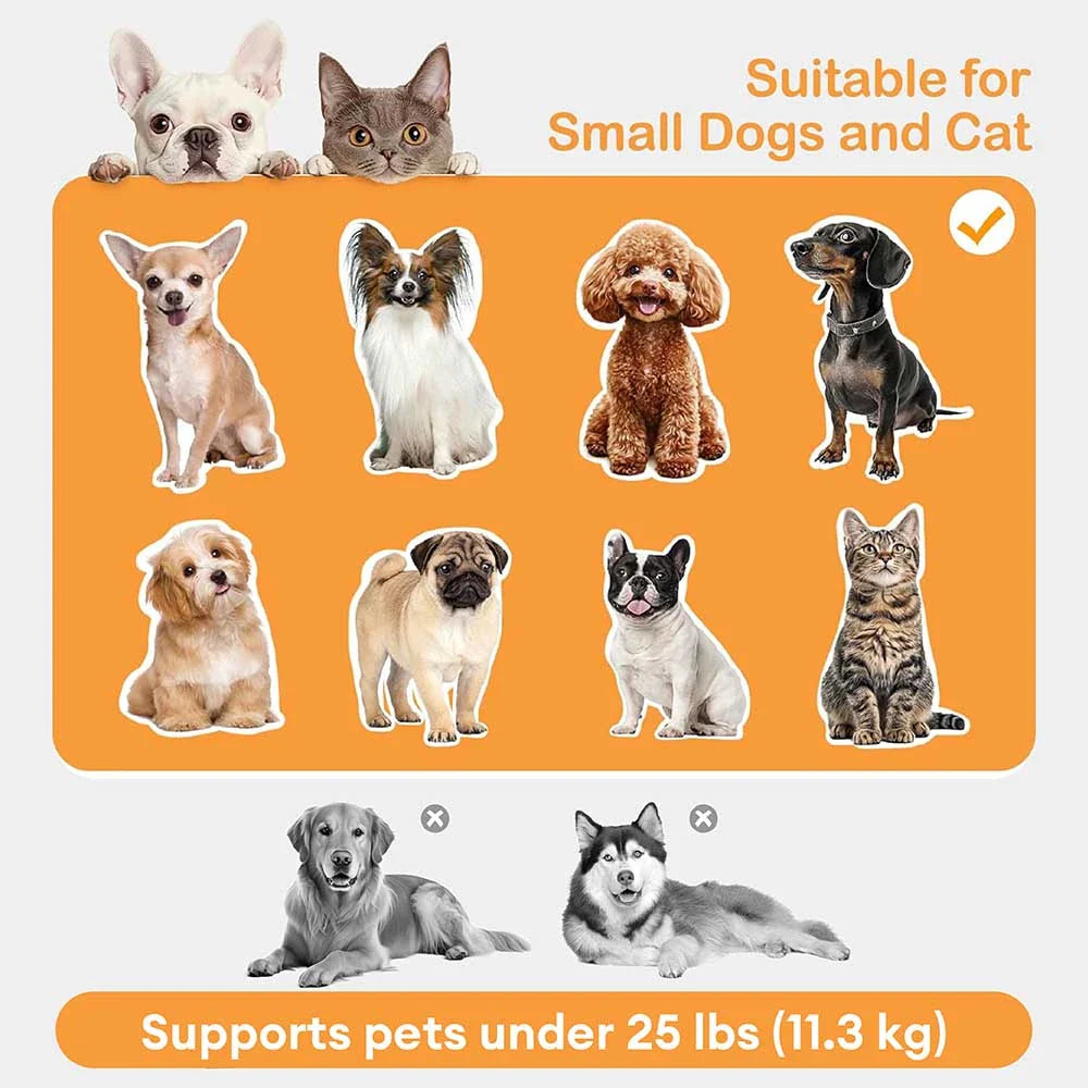 Elevated Pet Sofa Bed with Stairs Ramp for Bedside Lounge or Dog Window Perch