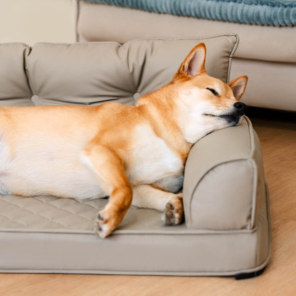 Luxe Faux Leather Foldable Orthopedic Large Dog Bed - Outdoor