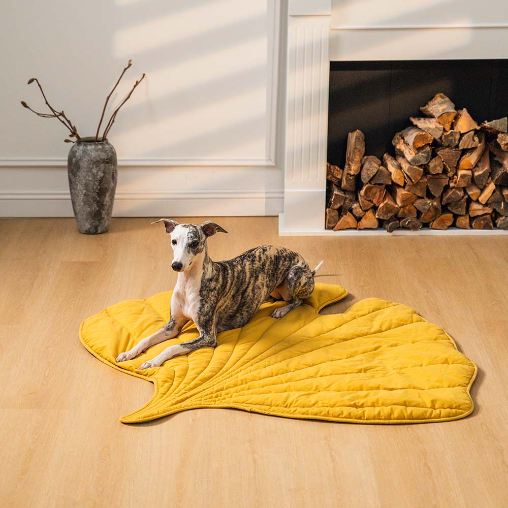 Leaf Shape Dog Blanket - FUNNYFUZZY