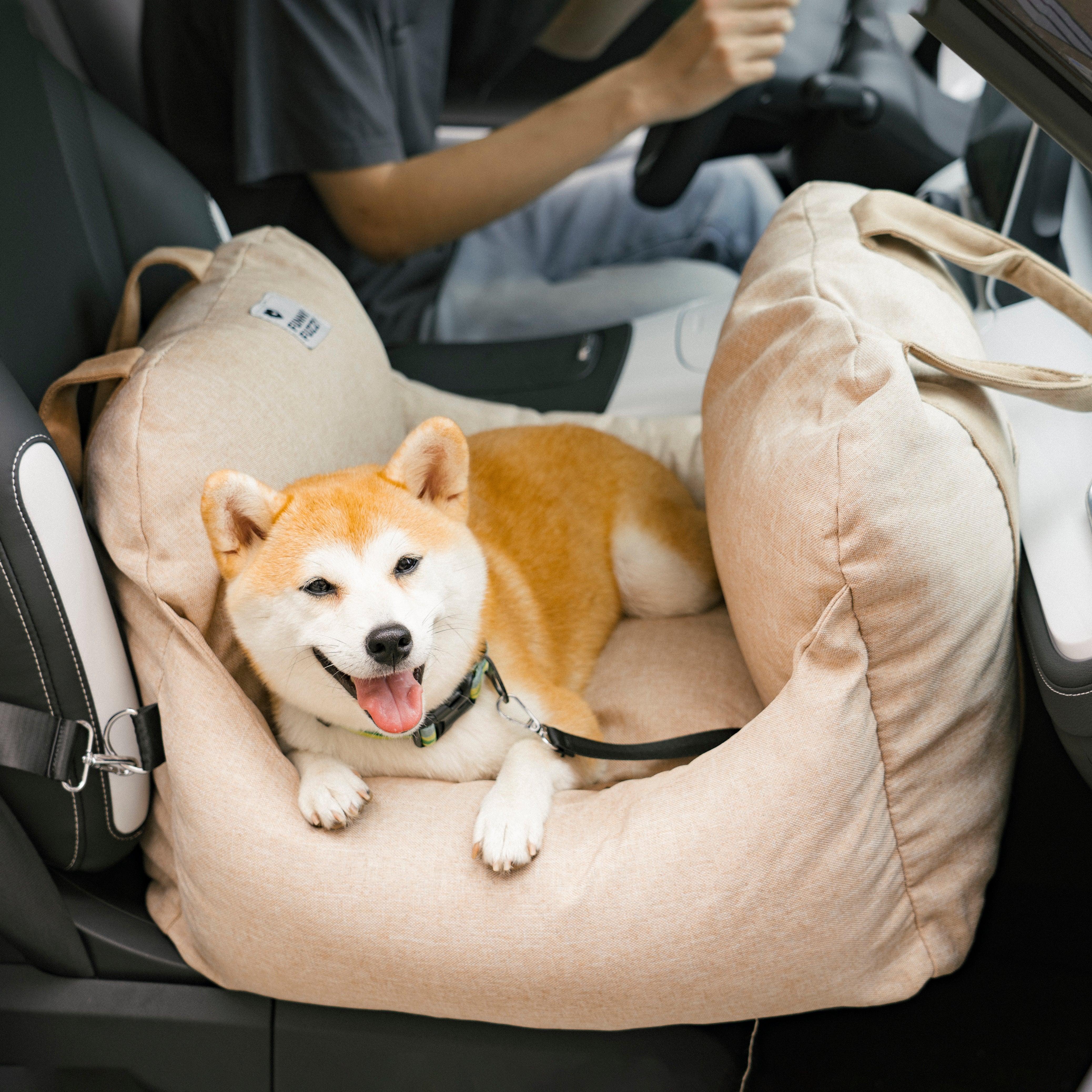 Dog Car Seat Bed - First Class - FUNNYFUZZY