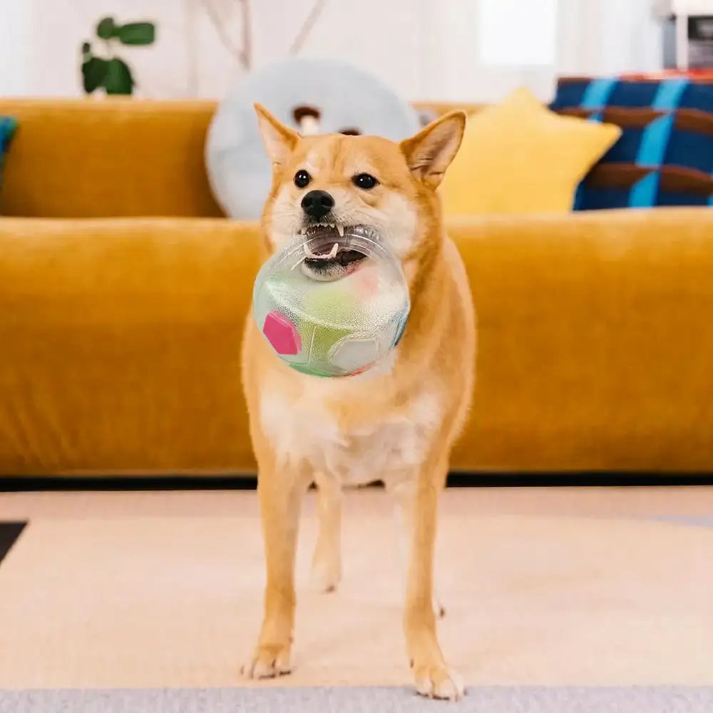 Dog Soccer Ball with Handle Floating Chew Toy