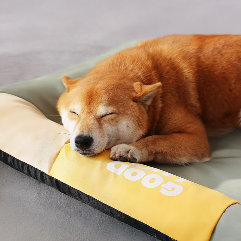 Colorblock Waterproof Scratch-Resistant All-Season Dog Mat
