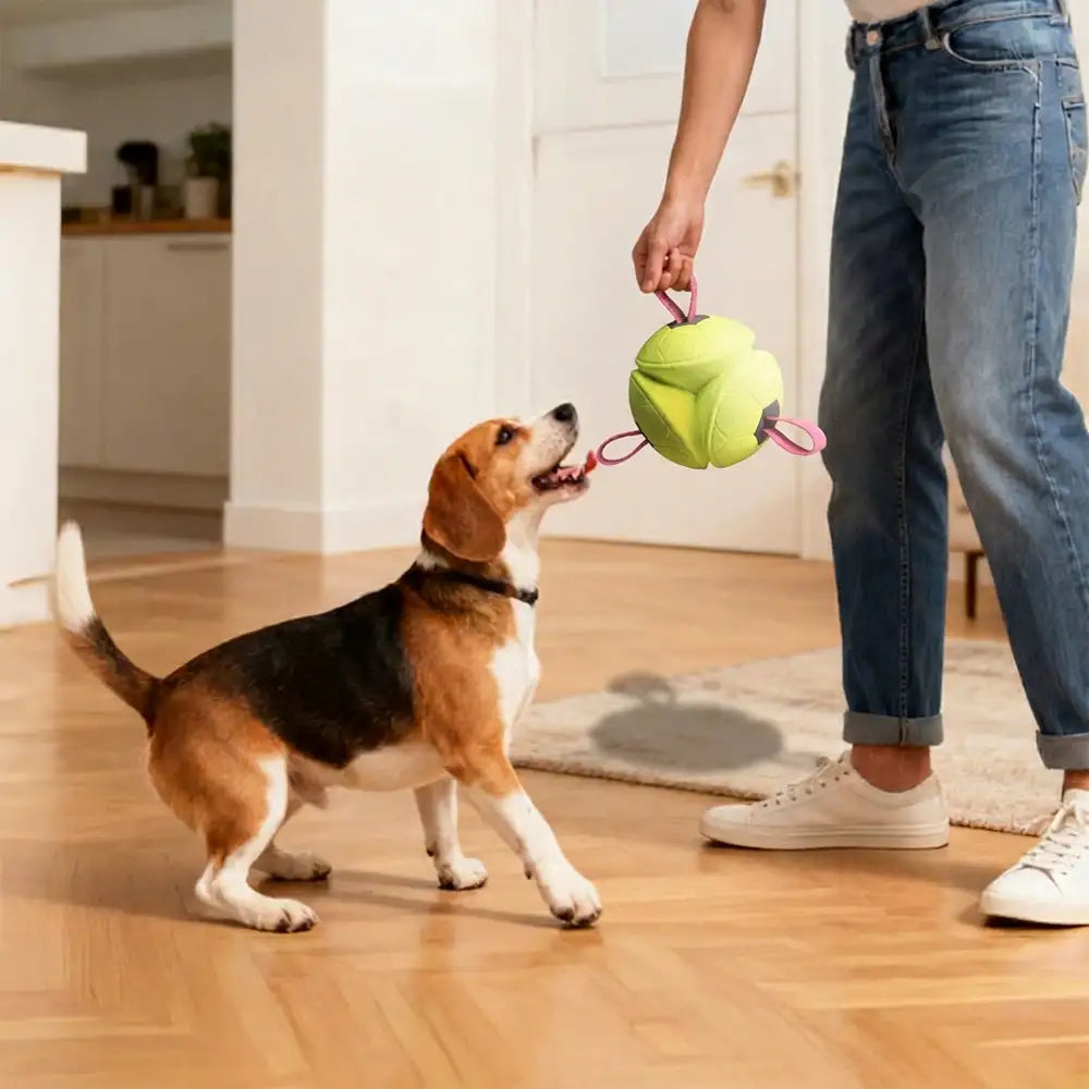 Football Floating Dog Toy with Straps