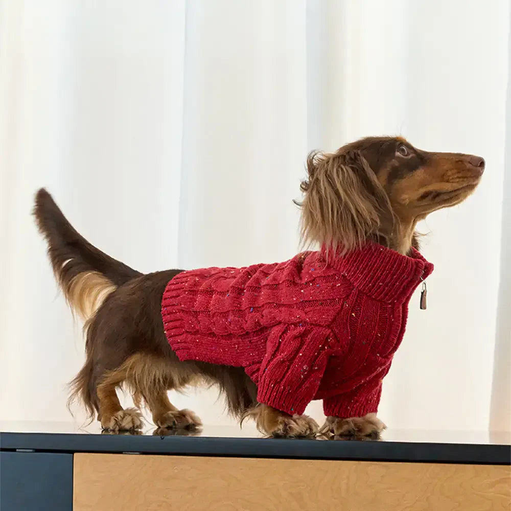 Cable Knit Zipper Collar Dachshund Dog Sweater