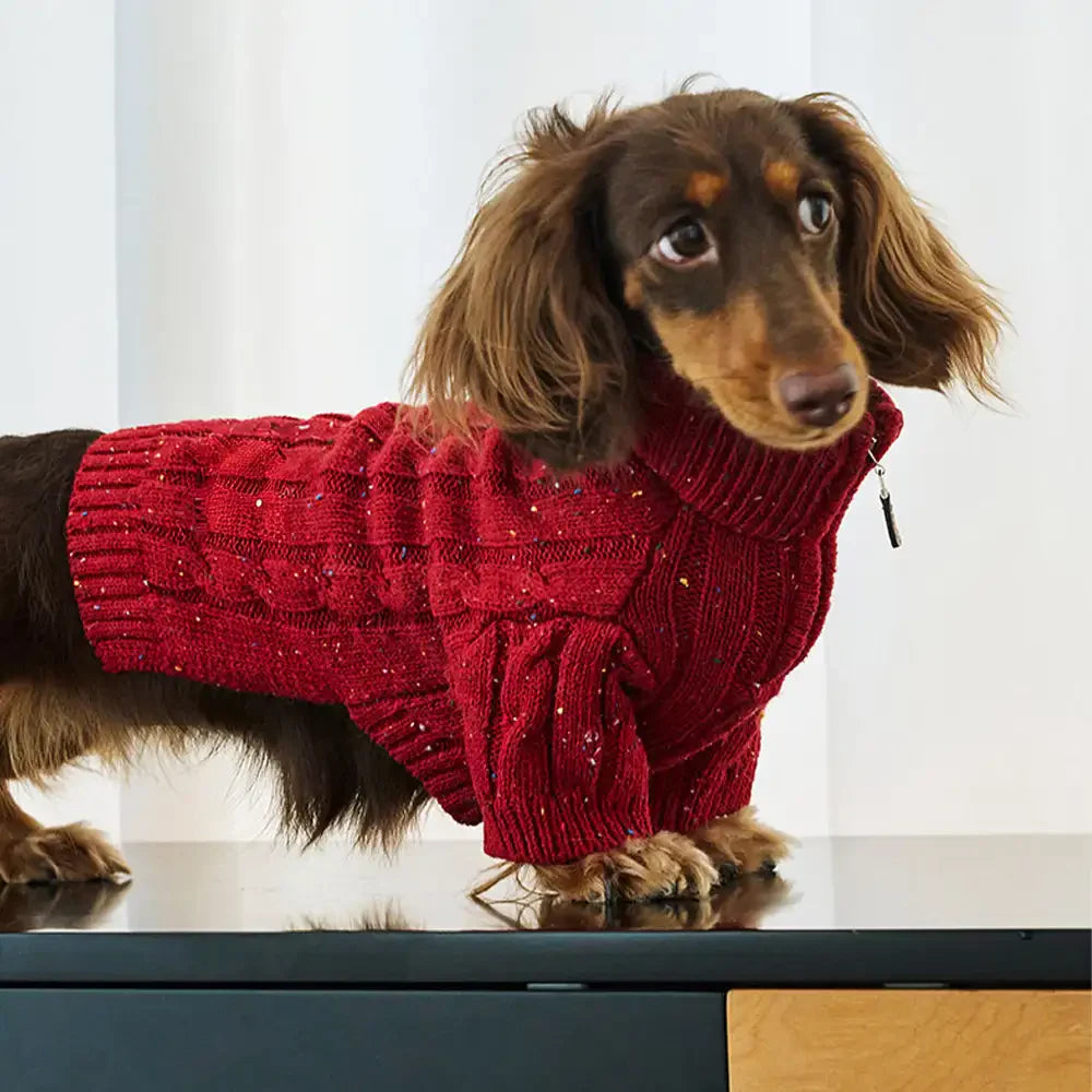 Cable Knit Zipper Collar Dachshund Dog Sweater