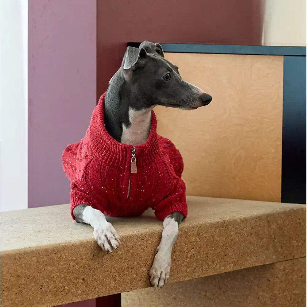 Cable Knit Zipper Collar Dachshund Dog Sweater