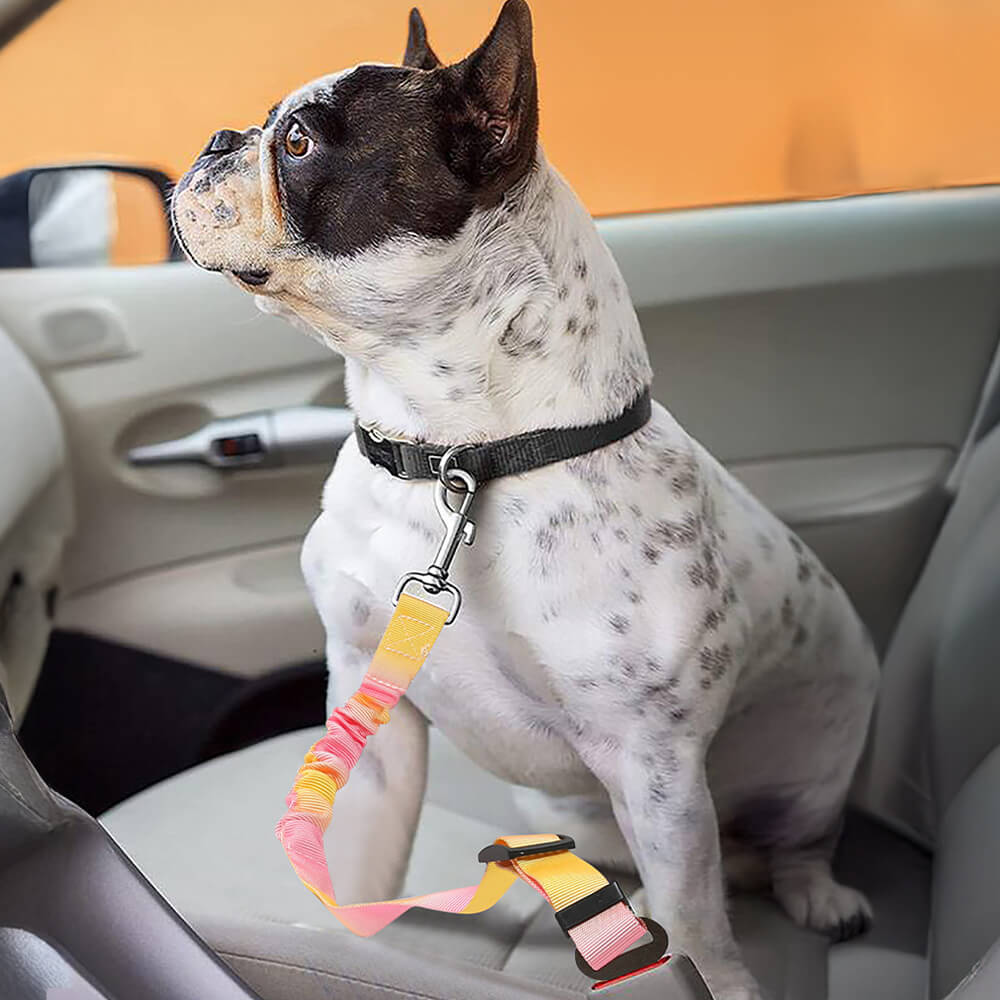 Gradient Elastic Shock-Absorbing Pet Car Safety Belt
