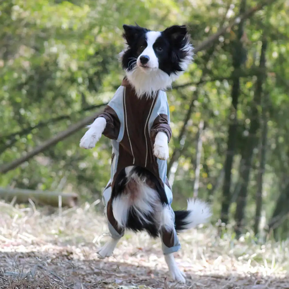 Multi-Functional Waterproof Windproof Dog Windbreaker Coat for Medium & Large Dogs