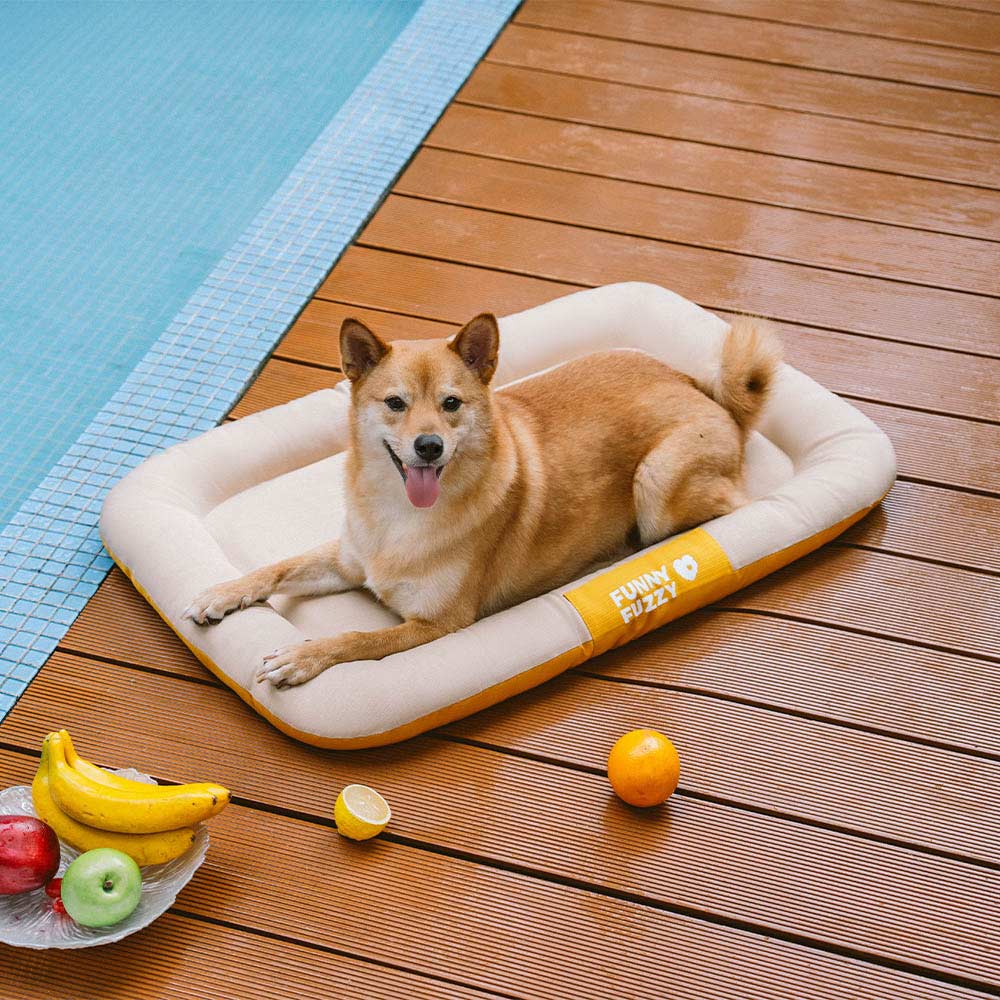 Outdoor Waterproof & Chew-proof Memory Foam Orthopedic Dog Mat - Trek Lounge