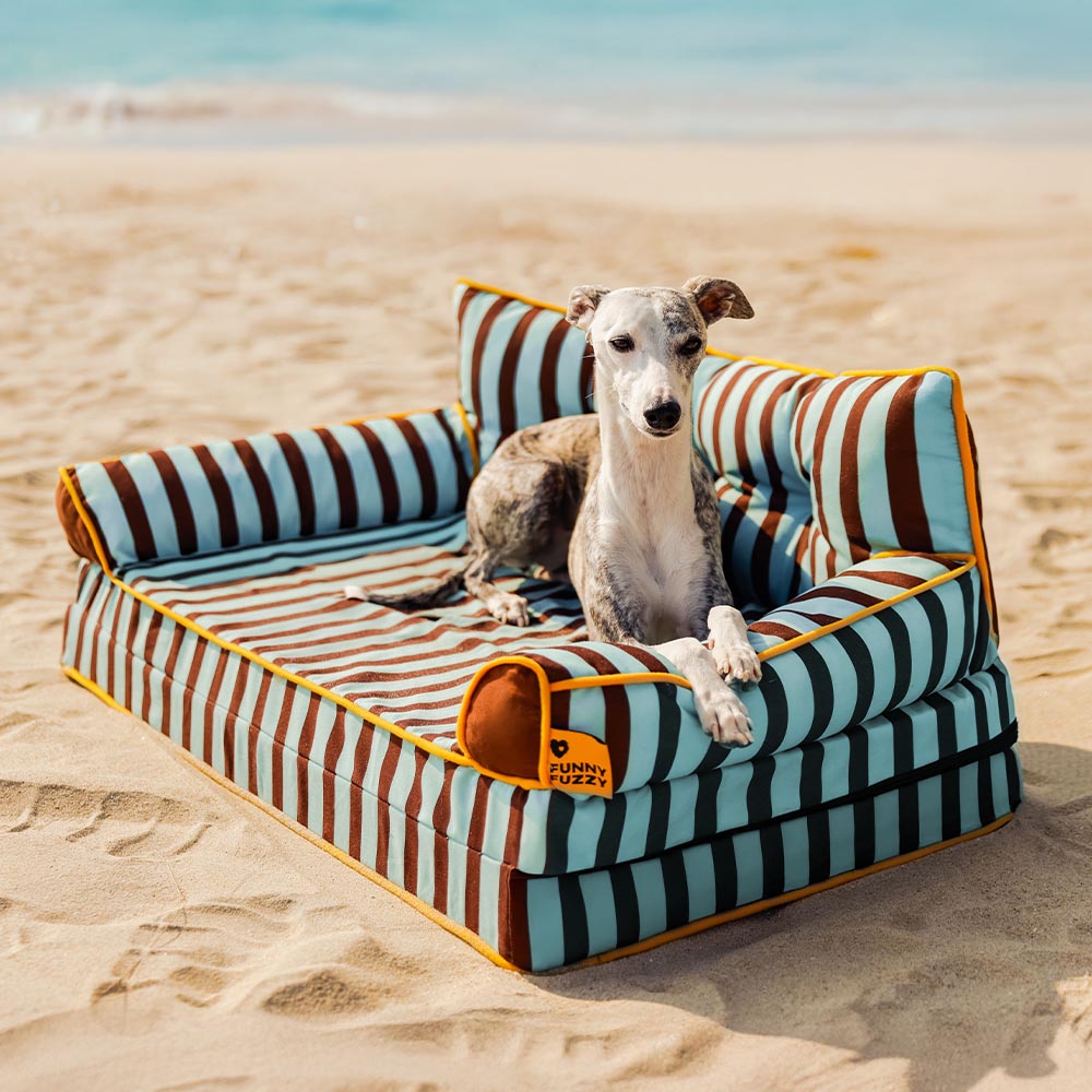 Stripe Waterproof Foldable Large Dog Sofa Bed - Sunny Siesta