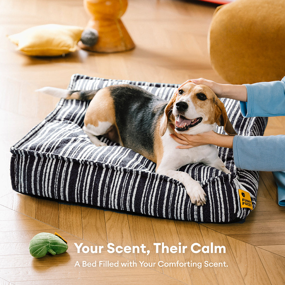 Sustainable Storage Pouf Ottoman & Dog Bed - Funnyfuzzy SnugNest