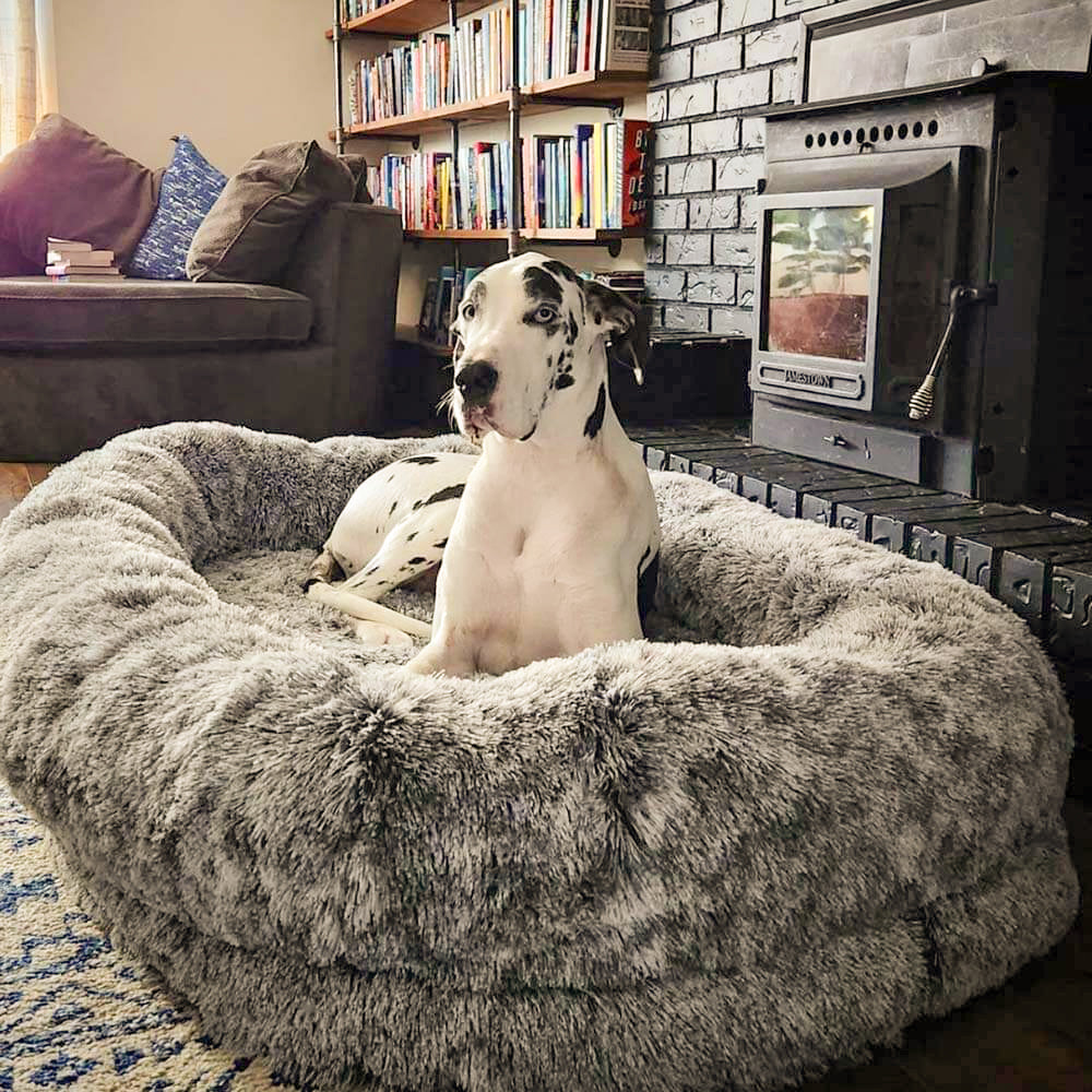 Luxury Super Large Sleep Deeper Oval Bed Human Dog Bed - FUNNYFUZZY