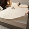 Soft & Antibacterial Full Enclosure Waterproof Zippered Mattress Protector