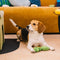 Plush Leaf-Shaped Squeaky Dog Toy - Funnyfuzzy SnugNest