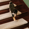 Soft Plush Indoor Stair Protectors Pet Friendly Tape Free Carpet Stair Treads