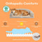Fluffy Stripe Washable Orthopedic Dog & Cat Sofa Bed - Latte Nooki