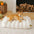 Large Washable Creamy Cozy Flat Dog Beds - Cheesecake