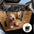 Mobile Bedroom Extra-Large Full Coverage Dog Back Seat Extender - Ideal for Travel & Camping