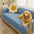 Waterproof Non-Slip Furniture Protector Pet Outdoor Couch Cover-Slipsafe