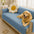 Waterproof Non-Slip Furniture Protector Pet Couch Cover-Slipsafe
