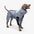 Reflective All-weather Waterproof Cool Dog Accessories Rain Coat - FUNNYFUZZY