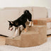 Cozy Corduroy Joint-Friendly Removable Spiral Pet Stairs - CreamyStep