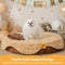 Fluffy Cake-Shaped Detachable Plush Orthopedic Pet Bed – DreamBake