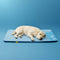 Large Washable Cooling Non-slip Dog Mat - Cooling Nap