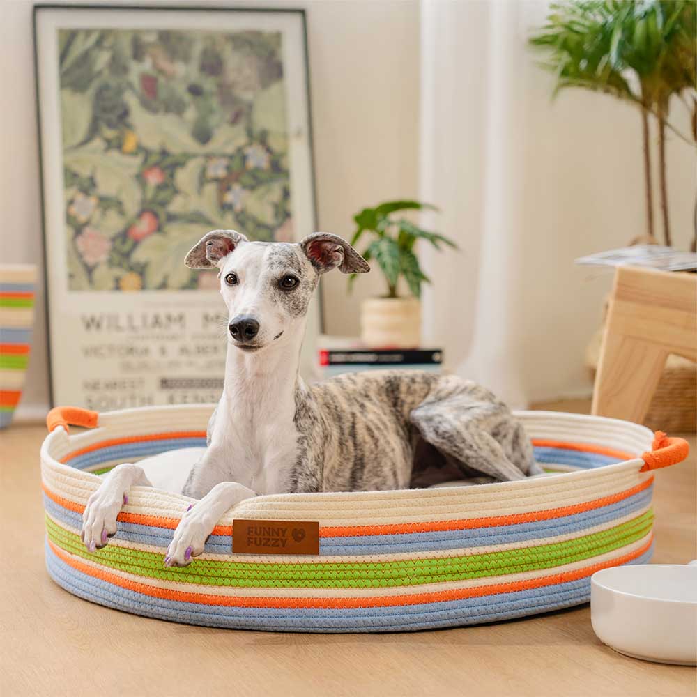 Handmade Lightweight Cotton Woven Beach Bag Pet Carrier- Summer Vacation