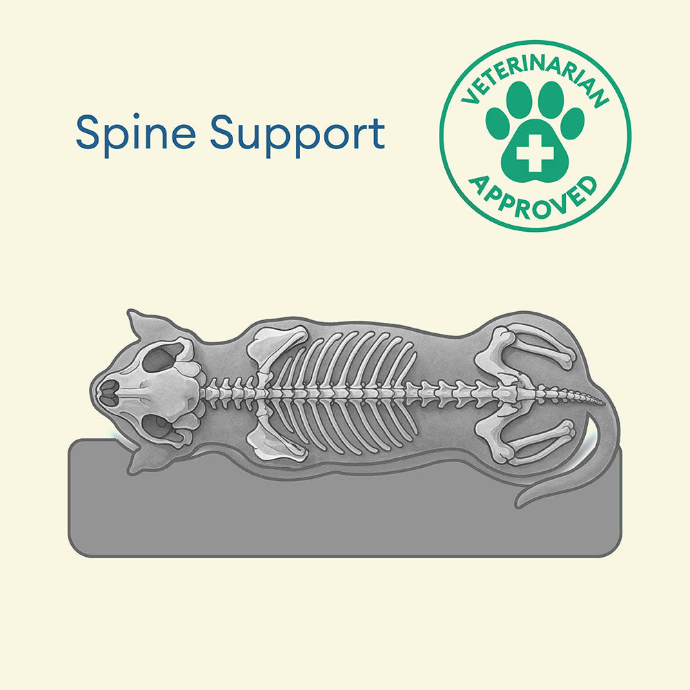 Fully Orthopedic Surround Support Waterproof Large Dog Bed