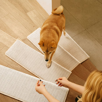 Herringbone Wear-Resistant Stair Protection Tape Free Carpet Stair Treads