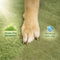Chenille Extra Wide Non-Slip Removable Sponge Pet Stairs - SafeRamp