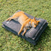 Anti-Anxiety with Sponge Support Deep Sleeping Dog Bed