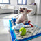 Beach Fun Series Ball Educational Interactive Dog Toys
