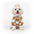Checkered Fleece Dog Jacket – Bold Style and Warmth for Winter Walks
