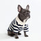 Classic Striped Polo Dog Shirts