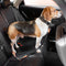 Colorful Buffer Adjustable Cool Dog Accessories Car Seat Belt - FUNNYFUZZY