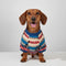 Colorful Striped Dog Sweater - Cozy & Fashionable Winter Wear