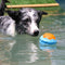 Dog Interactive Chew Toy Outdoor Floating Water Toy