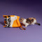 FUNNYFUZZY Recycled Foldable Canvas Tote Bag-Wagging Tails