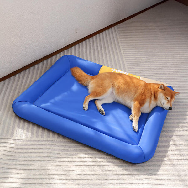 Colorblock Waterproof Scratch-Resistant All-Season Dog Mat
