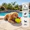 Football Floating Dog Toy with Straps