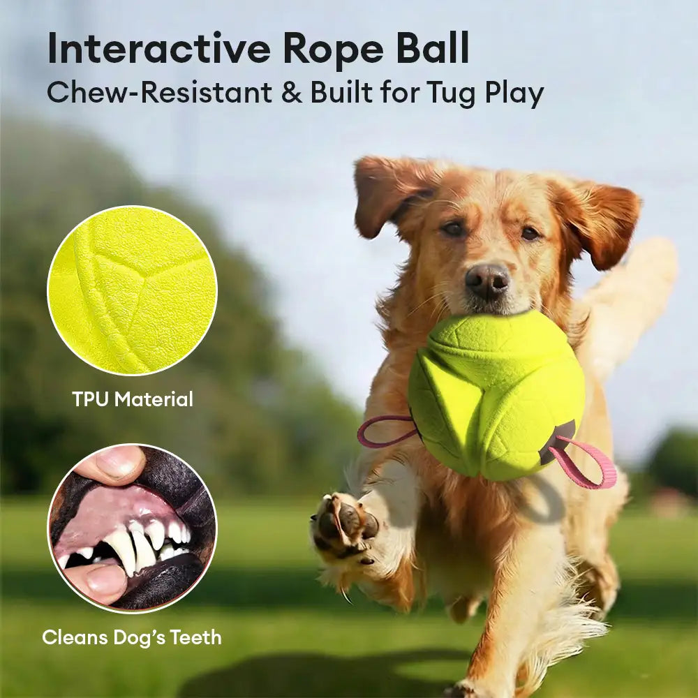 Football Floating Dog Toy with Straps