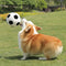 Football Plush Pillow