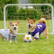 Football Plush Pillow