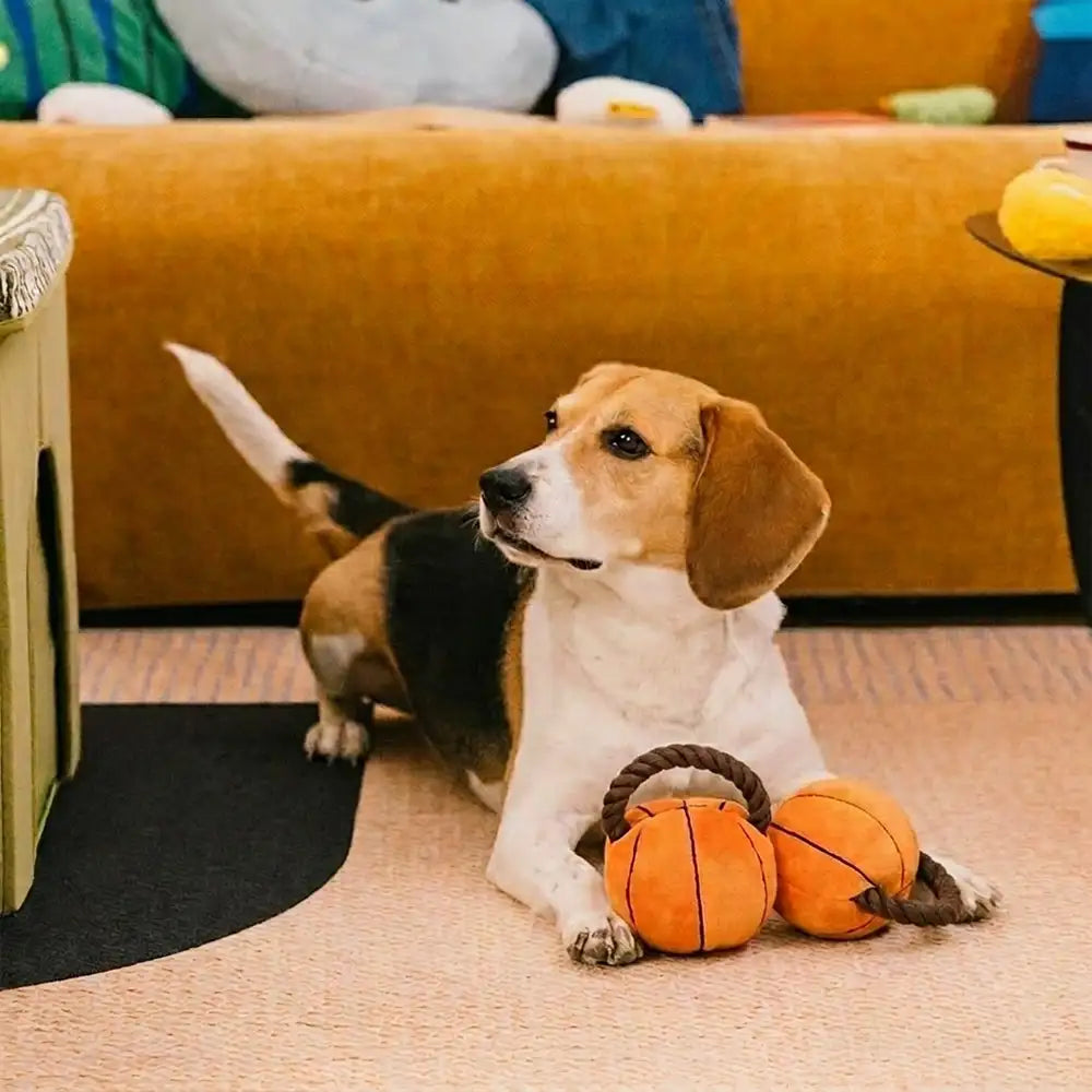 Fun Balls Dog Rope Chew Toy