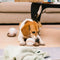 Fun Balls Dog Rope Chew Toy